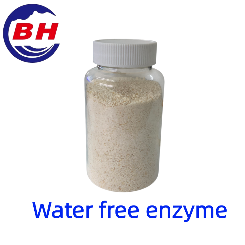 Vedetön entsyymi H8811