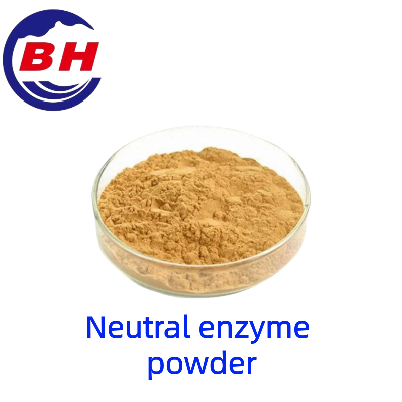 Neutraali entsyymijauhe H8813