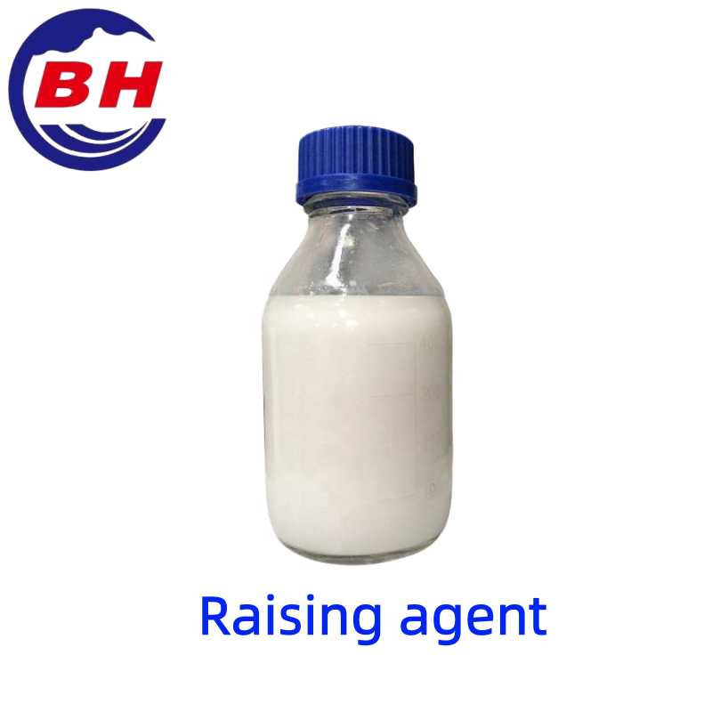 Nostatusaine H8919